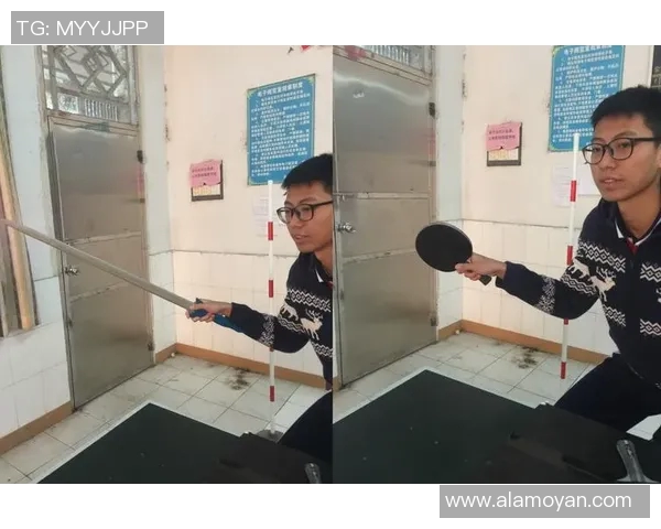 杨强专访揭秘乒乓球成功秘诀与训练心得分享
