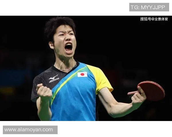 南京羽毛球队大满贯赛表现分析与状态评估全景解读