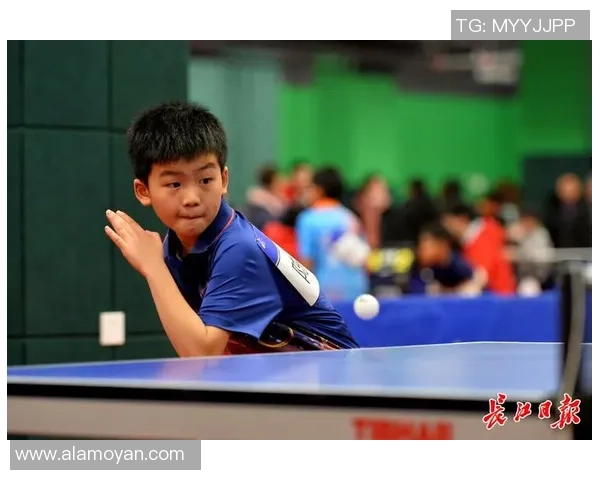 武汉乒乓球队在全国灵活性排行榜中荣登第九位展现出卓越实力与潜力 武汉乒乓球队在全国灵活性排行榜中荣登第九位展现出卓越实力与潜力