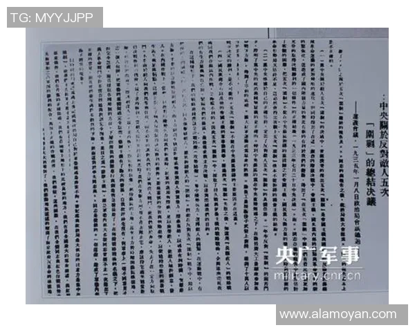 武汉排球队阵地战体系解析与战术创新探讨