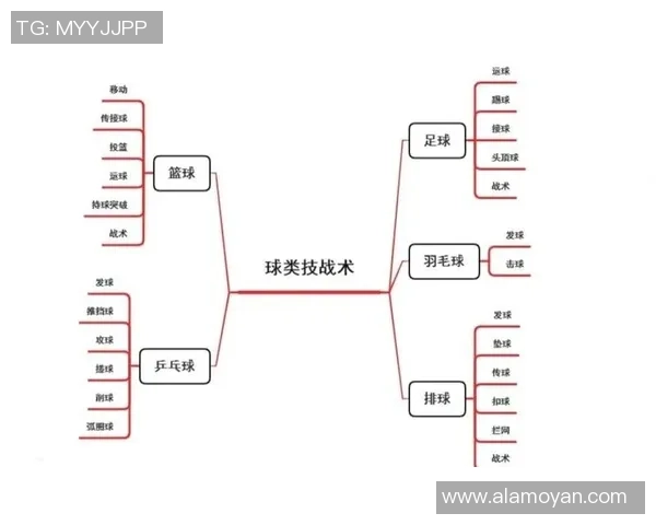 北京排球队进攻策略全解析深度剖析排球战术与团队配合